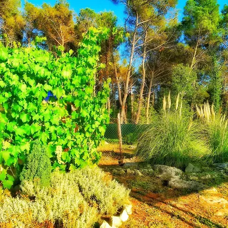 Pampas Studio, Self Check-in * Porec