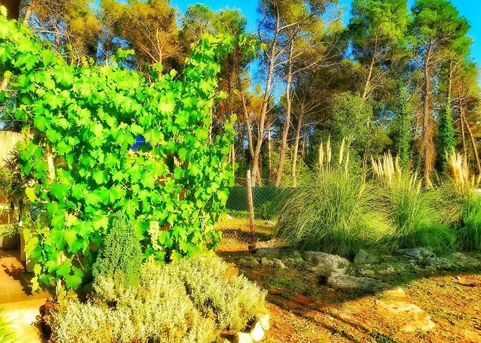 Pampas Studio, Self Check-in * Πόρετς